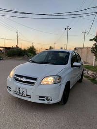 افيو • ٢٠١١ • بابل المحاويل