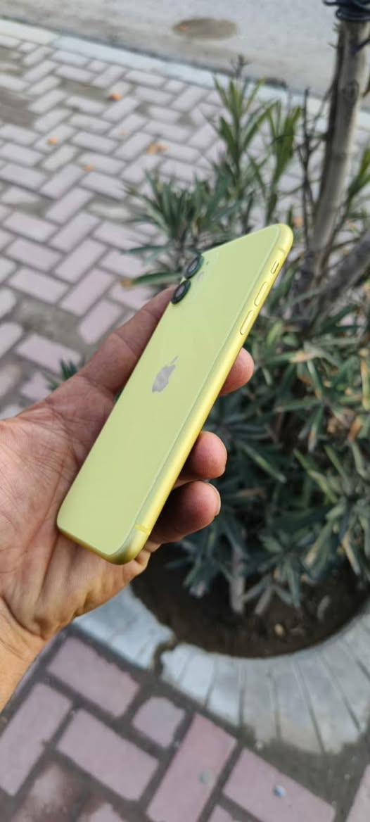 ايفوان 11عادي داكره 64
شرط حاصر هوه ضدل ماي 
بطاريه 83 شرط قطاره 
جهاز كلو شرط كلشي مامبدل 
واله وصل مصلح كلو شرط 
كاميرات حيل حلوات 
جهاز مكفول من الشخوط 
شخطه مابيه اخو الجديد 
سعر 275 بيه مجال بصيط


**إذا كنت صاحب هذا الإعلان وتريد حذفه لأي سبب، رجاءا أرسل رسالة إلى الدعم الفني**