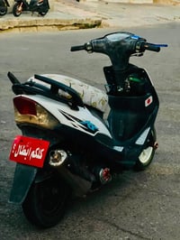 عدلة • فول • تزويد مرتب