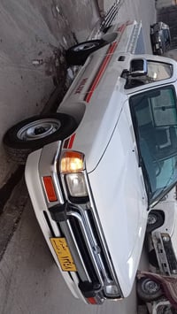 بيكب • مصبوغ • ١٩٨٩