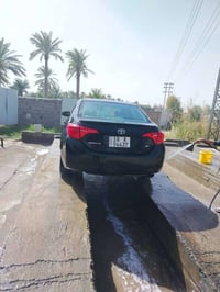 كورلا ٢٠١٨ • بابل المحاويل • مكفولة