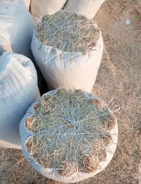 تبن أبيض • جميع القياسات • توصيل محافظات