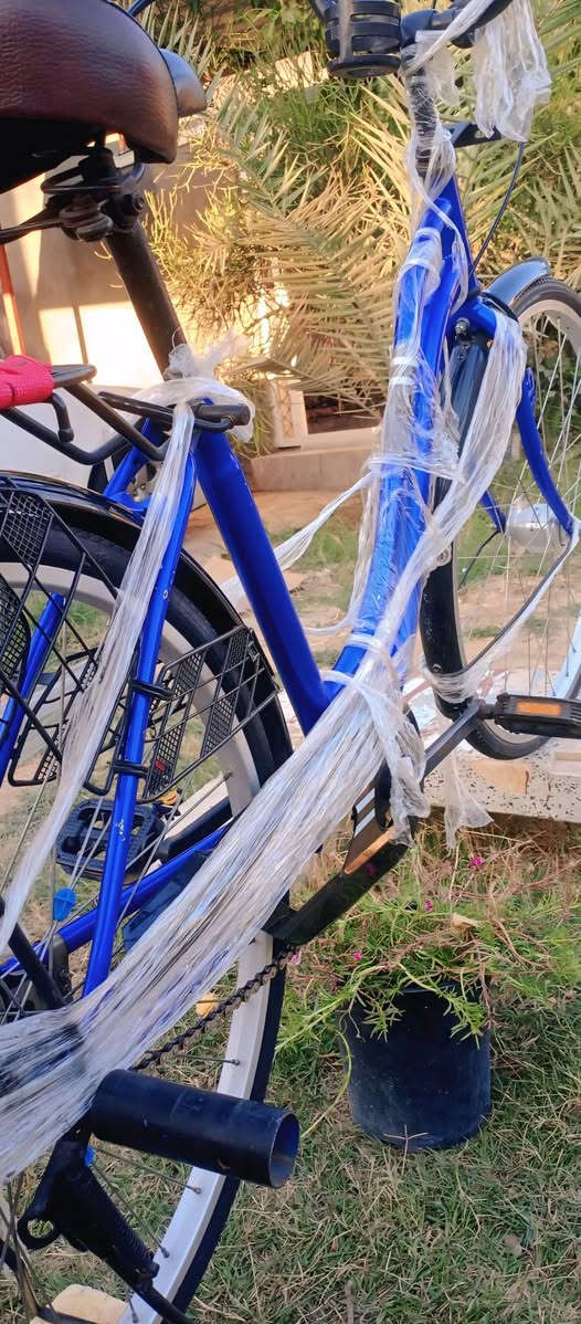 سلام عليكم باسكل للبيع ياباني جديد مامستخدم الون 💙 حجم 26 السعر 125 وبي مجال للطيبين مستعجل على بيعه التواصل على هذه الرقم *********** متواجد واتساب
