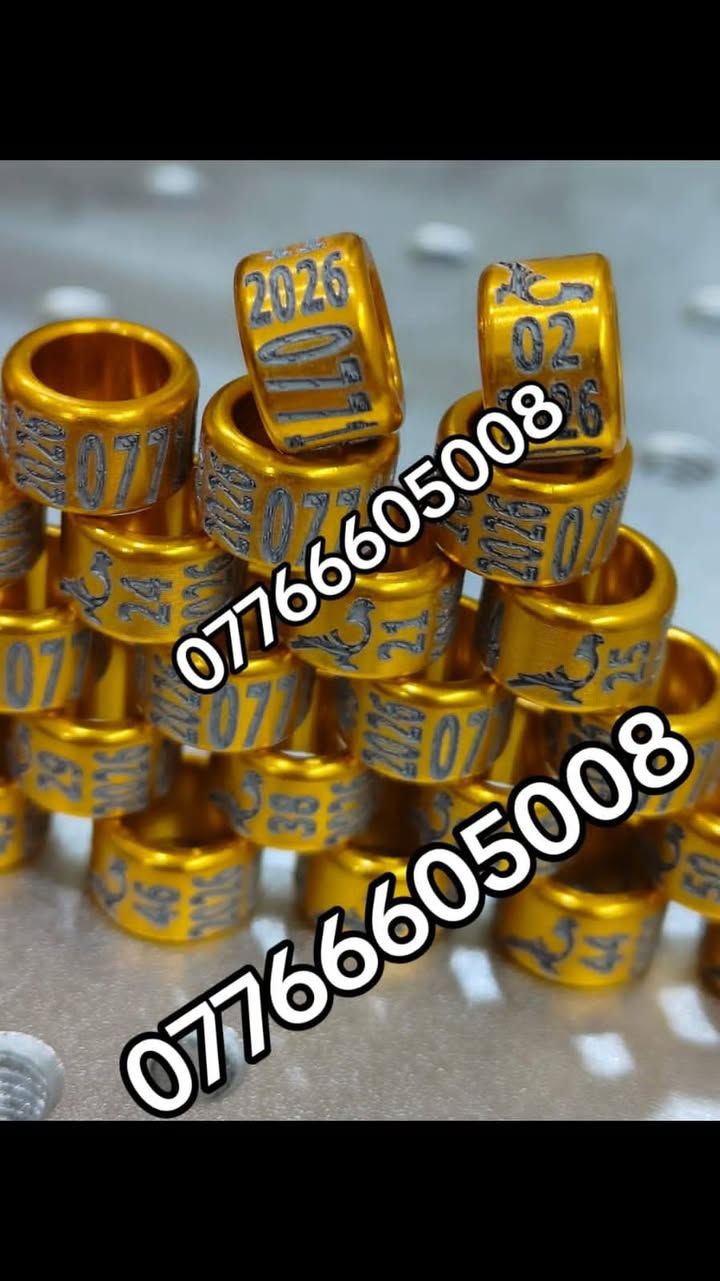 حجل طيرك وبسعار تنافسيه وشغل مضمون 👇❤️ حجول  وتوصيل لكل العراق والخبره بلعمل
من رخصت لمشرفين تريد حجل اصلي  ❤️ يوجد لدينا كل ماهو جديد عمل جميع  انواع حجول رابطه ستندر بنواعها حمام اللوت والزاجل والرافل والحمر وتور تيدي وطيور الزينه وباقي الطيور  بكافة انواعها  المغرد جاوه وبلابل  وفجانس وكناري وبادجي هاجرمو  وكوكتيل والدره وغندور وروز والحمام الملكي  ودجاج ومختلف النوعيات الالوان والموديلات حسب طلب الزبون الحجول والقياسيات موجوده بنواعها وتلبيس لطيور الكبار موجود حسب الطلب
الموثق والمفتوح وقراصات و المنيوم مفتوح الشغل درجة أولى حفر ليزر وحجول  والطيور بانواعها ملاحظه يوجد لدينا حجول زينه تراجي وحجل جرس خرخاشه واشرات وباقي الحجول بنواعها لكافه لطيور توجد خدمه توصيل لباب لبيت لجميع المحافظات العراق 🚕🚕 بسعر مناسب جدا للحجز مراسلة الصفحه او واتساب📱📞او الاتصال علئ الرقم او وتساب ملاحظه خبره بلعمل أكثر من 10 سنوات احذر التقليد 😍 لاتنسه لايك ومتابعه للحساب هدفنا تطوير الهوايه ولطيور لتعارف 😘 

***********
***********
