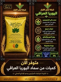 متوفر الآن • جاهز