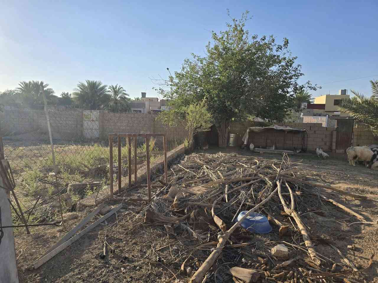 للبيع بيت نوع سيوان( C1) في مرحلة السمنت ع الشارع العريض بين الثالثه والسمنت يحتوي على حديقه خلفيه كبيره جدا مطله ع الشارع العريض مع اضافات للمنزل كما موضح في الفيديو للتواصل ع الرقم ***********
