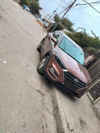 توسان • ٢٠١٨ • شوین رانیە