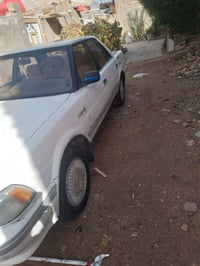 هارتوب • ١٩٩١ • رقم ميسان