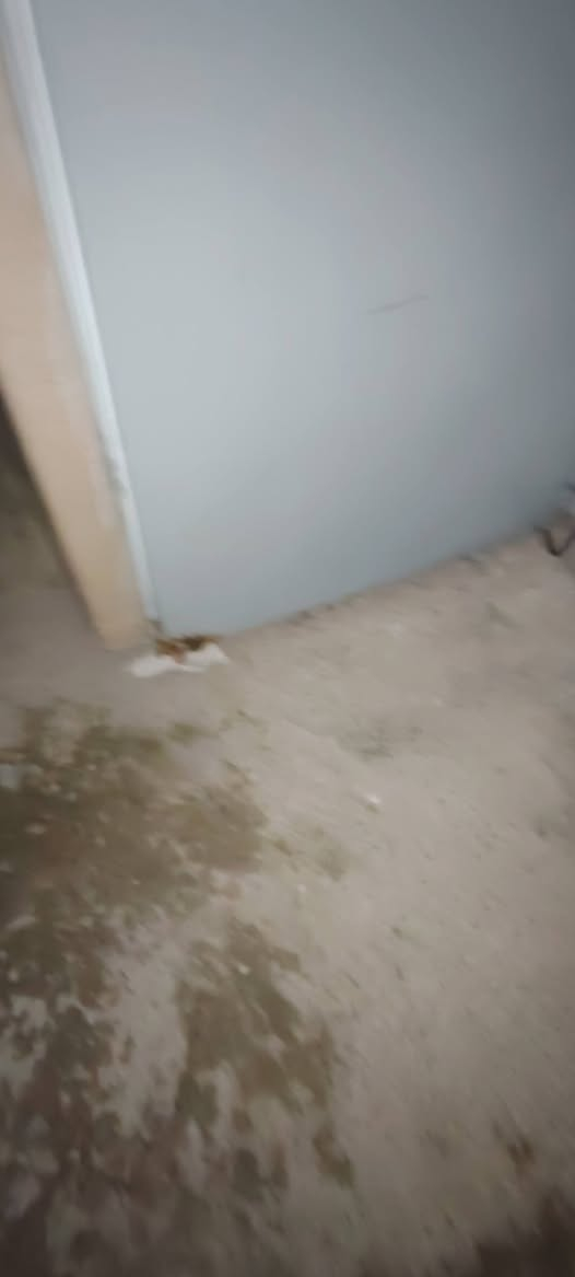 مكلف بالنشر
ثلاجة حجم 22 قدم شغاله شرط،التجميد السعر 125
عنوان الانتصار شارع 60 قرب اسواق الخضراء


**إذا كنت صاحب هذا الإعلان وتريد حذفه لأي سبب، رجاءا أرسل رسالة إلى الدعم الفني**