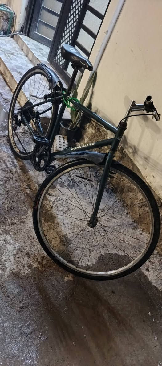 سلام عليكم بايسكل للبيع أو مراوس فقط رياضي بايسكل نضيف سعر 100


**إذا كنت صاحب هذا الإعلان وتريد حذفه لأي سبب، رجاءا أرسل رسالة إلى الدعم الفني**