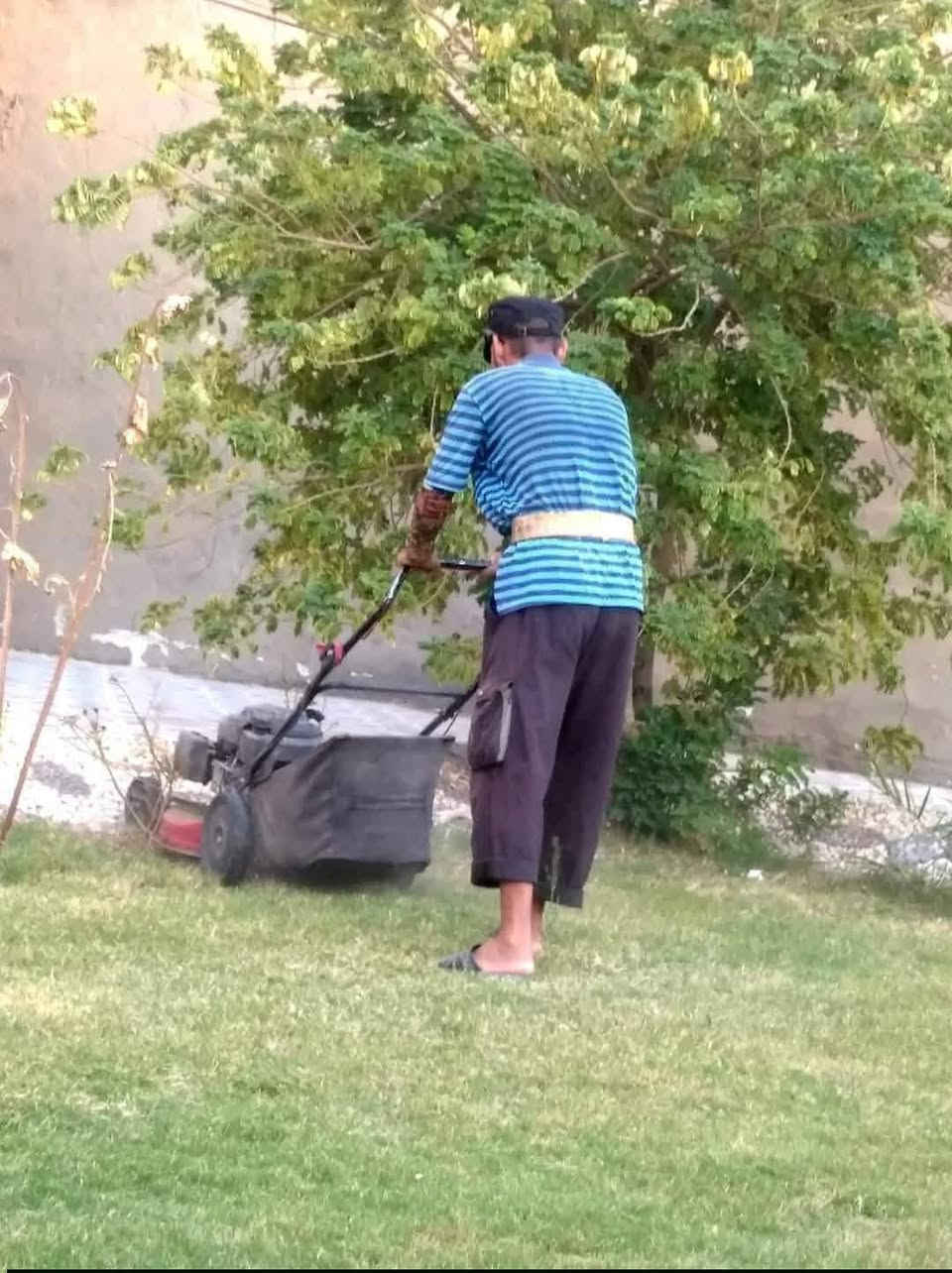 السلام عليكم اي شخص عنده حديقه يحب يزرعها ثيل او تنضفها اني اشتغلها وعندي ستوته انقل بيها مخلفات الحديقه. راسلوني علخاص رقمي واتساب *********** بلخدمه واسعارمناسبه وشغل مرتب
