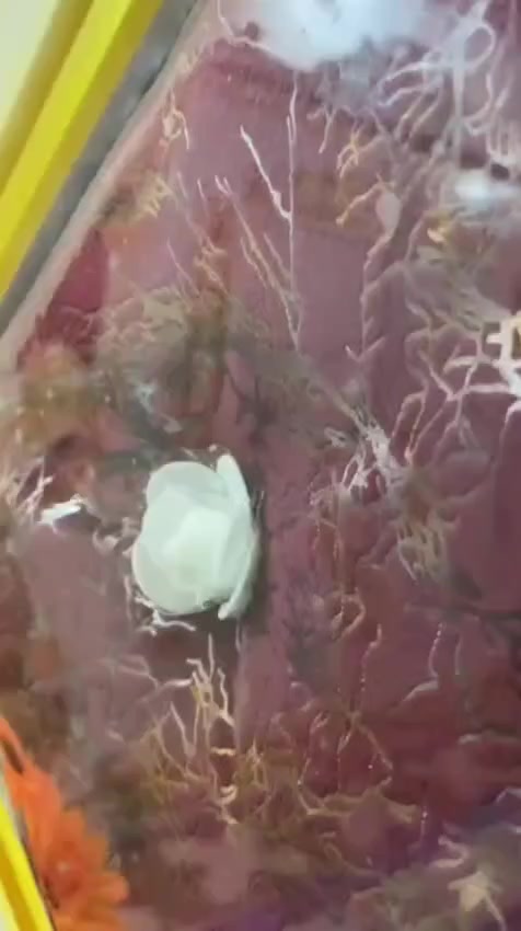 السلام عليكم غرفه نوم عراقيه حطاطه تصميم 🇹🇷 تركي السعر 800 وبي مجال الاتصال 
للاستفسار 
خاص مفتوح 
***********
