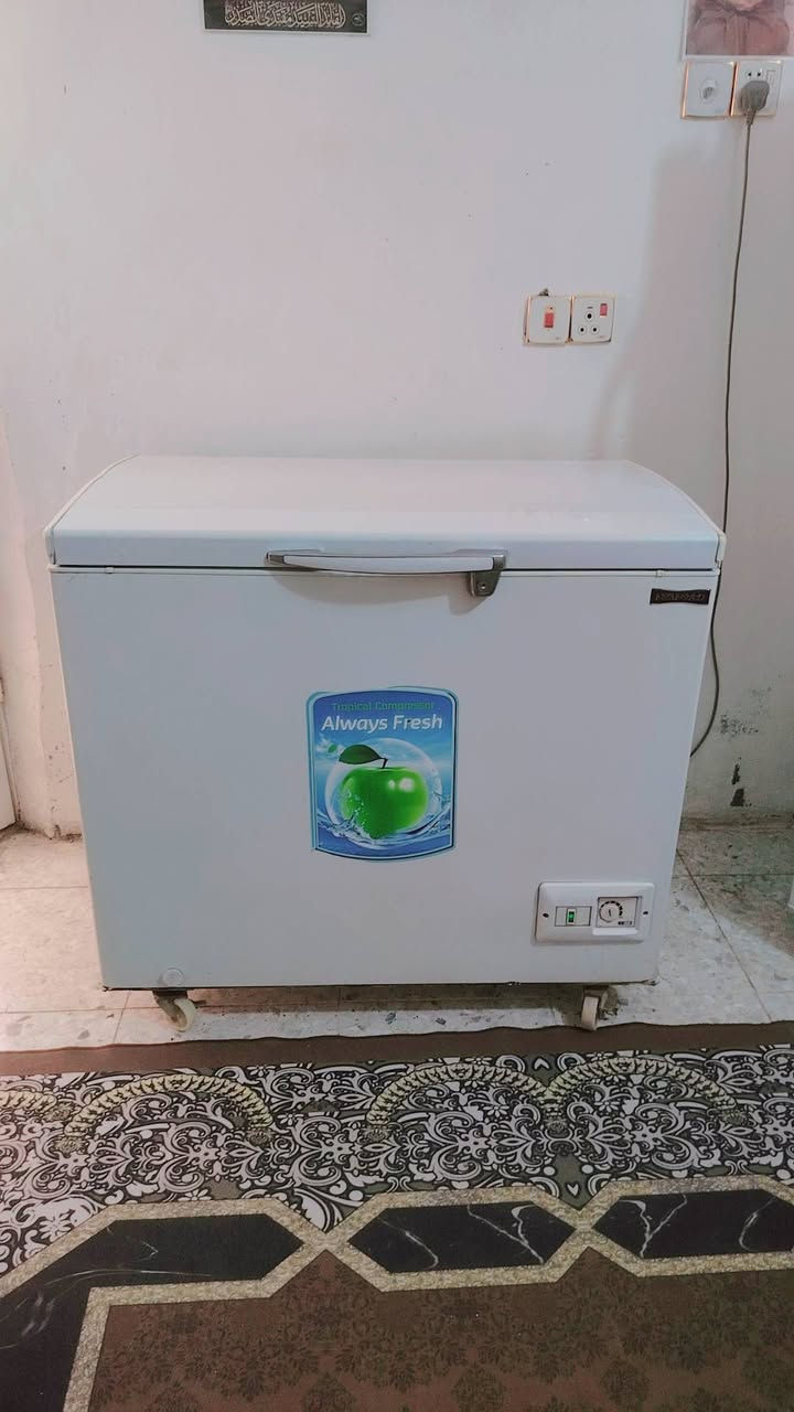 مجمده حجم  14 قدم  كونكورد لبناني حجم وصط فول تجمبد تشتغل موولد ووطني شرط   سعر 210   ذا مو فول تجميد لا تاخذوها  مكان كربلاء حي الميلاد للاستفسار ***********
