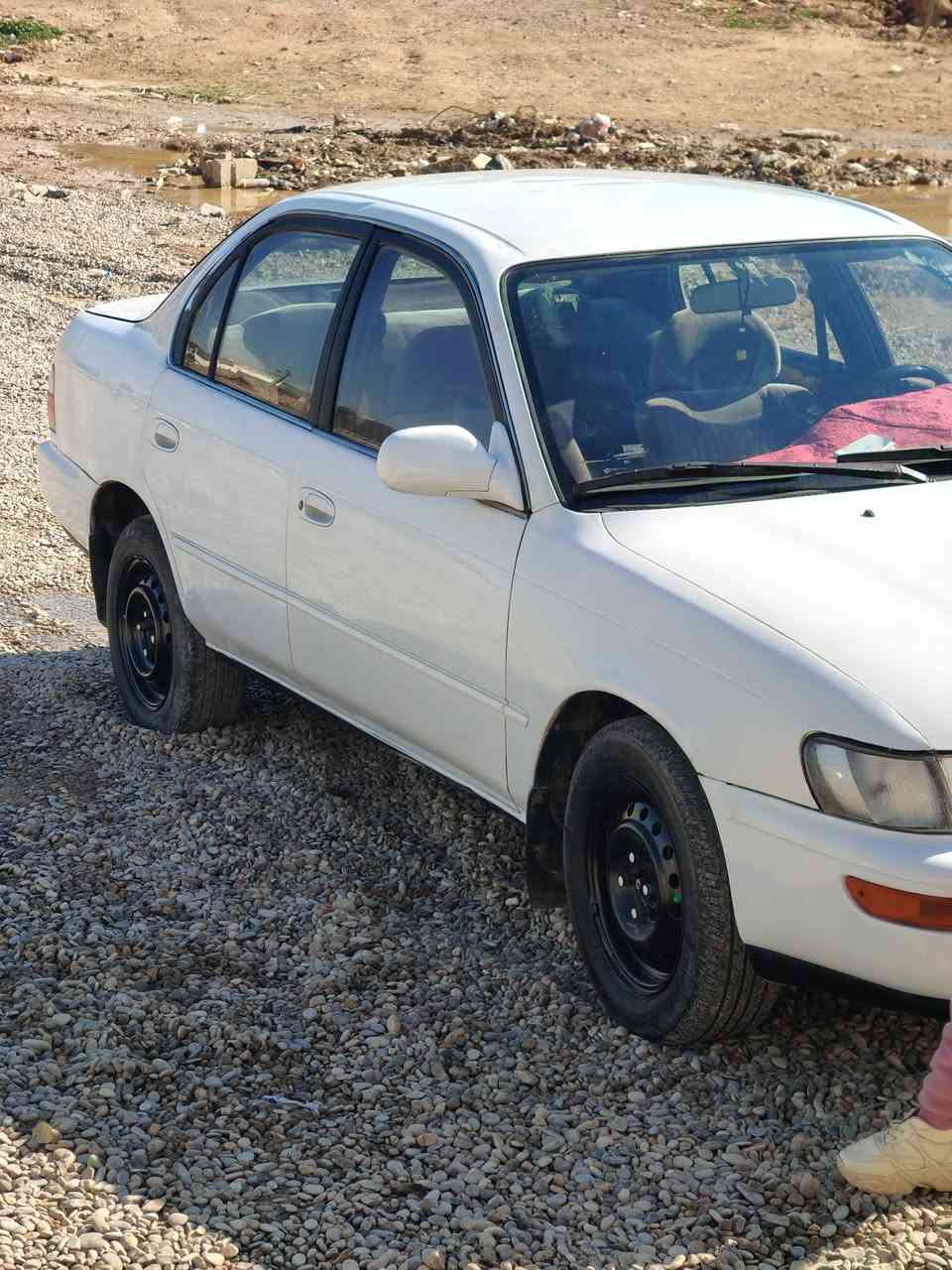 كورلا 93 رقم بغداد مشروع وطني تحويل او وكاله       محرك 1800كير  ومشط جديد تدفئه شغاله صبغها بلادي بيهه جامرلغ الخلفي بي شبر مسحوب على بارد بدون دواخل ومكانات تكحيل  بدون اي معجون  سياره جاهزه اي خياس مابيهه ولامعمره بيهه بس الجام الخلفيه متنزل  غير شي مابيهه عنوان ديالى خانقين السعر 55 
***********
***********
