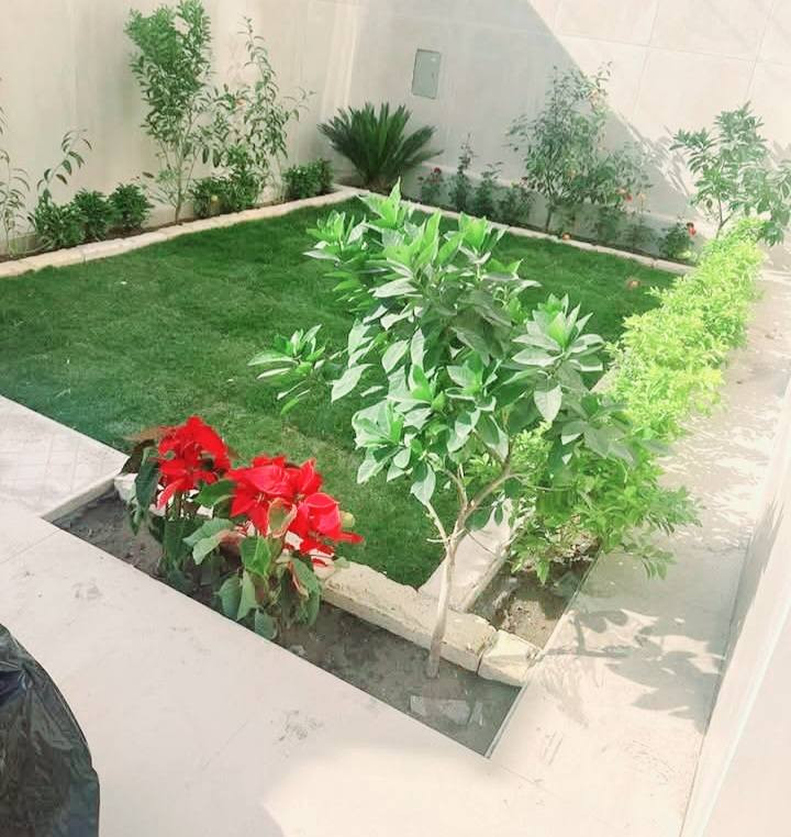 لعمل الديكور اتصل على الرقم (***********)
🍃مستـعدون🍂 ، لـترتيب🐦 الحدائق المنزلية 🏝️🏘️ ودوائر الدوله والمتنزهات  مايخص الحدائق العامة
وزراعة النباتات، 🌾🌴🌱والازهار، 🌼🌺🌻وقص الثيل.🌾🌾
وعمل الديكورات والتصاميم،الحديثة للحدائق،وعمل وسياجات BRC وسياجات الحدائق، بواسطة الاحجار الملونة والاشتايكر   ،
ونعمل على تصميم الشلالات 💦والنوافير.⛲
