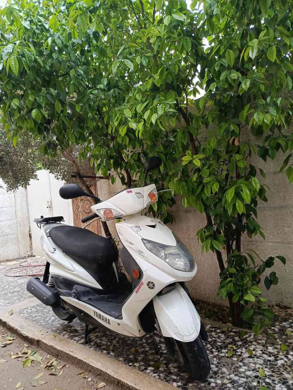 دراجة سكنس فحل نوزل طلاعات محرك ناعم ما مفتوح كفراتها ختم واحد كلها مختمة كهربائيات  كاملة هرون اشاير لايت عالي ناصي نكرة سلف قفل جنطة واستيرن سعرها 575 وبيها مجال بسيط مكاني الشعلة ***********
