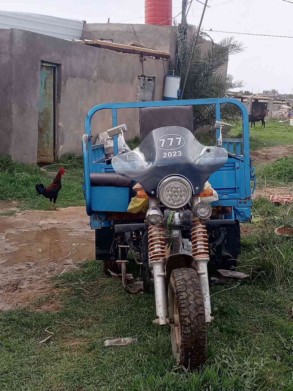 السلام عليكم ستوته للبيع موديل 21رقم مداور ثاني يوم للاتصال على الرقم *********** او مراسله الصفحه السعر خاص
