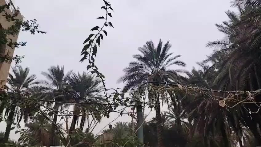 اربعه كير للبيع السعر350وبيها مجال
***********
