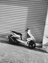 ماكس مضلع • ياباني • الحلة البكرلي