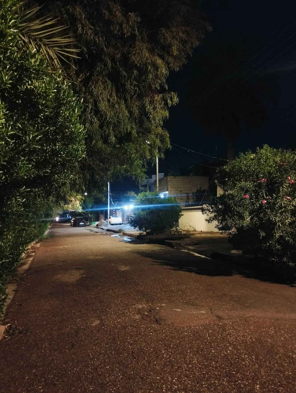 بيت للأيجار المساحة 500متر
موقع البيت بعقوبة التحرير حي الاوقاف مقابل معهد الفنون الجميلة مجاور منتزه التحرير البيت يحتوي على 7غرف وطابقيين ويحتوي على كراج يتسع ثلاث سيارات البيت مرمم جديد يحتوي على حمام وصحيات داخليات وحمام وصحيات خارجية ومقابل البيت حدائق واسعه كما موضح في الصور البيت يرهم لعائله ولمخزن أو لمدرسة أو لروضه أو لمكتب وفيه حديقه داخليه واسعه والبيت لا يتأثر بل امطار نهائيآ لانه عالي عن الشارع الرقم للتواصل والاستفسار /***********
