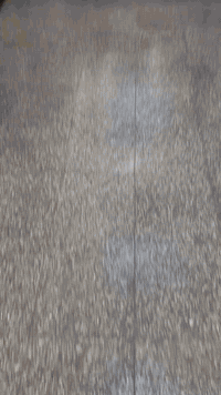 عرض رأس السنة الجديده 🎄🎄🎄
وصول وجبه جديدة🔥 رولات بديل الرخام اللاصق الذاتي 🔥  (  ليزري الأصلي  )     بعدة الوان مميزه                                    😉 وبسعر 10الف دينار 🧯🧯🧯
⭕️الرولة طول 3 متر وعرض 1.22 متر   🔥 🧯.                   
🔥الأصلي ضهر سلفون*
📍متوفر بعدة الوان *
📍يستخدم لكافة الجدران بأنواعها بكل سهولة *
📍ميحتاج كادر أوشخص مختص تكدر تشتغله بيدك
📍موجود توصيل كافة المحافظات🚕🚕         للحجزمراسلة الصفحة 
📍العنوان :بغداد -صليخ - مقابل نادي صليخ الرياضي الحجز مراسلة الصفحة أو الاتصال بالرقم التالي***********
