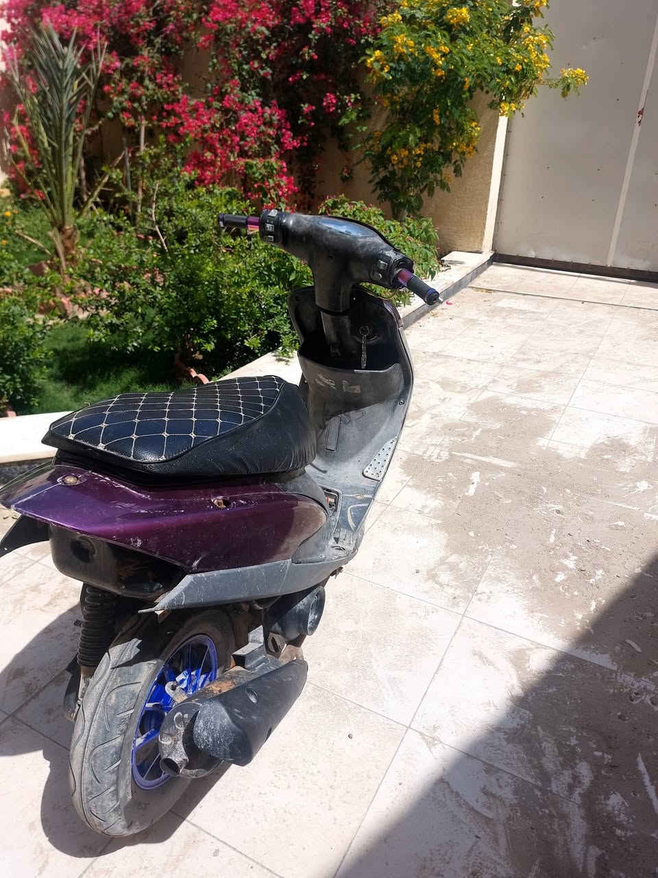 سلام عليكم دراجه ماكس منغولي مال لعب مزوده بوشة وبستم 55 شلعة ومعدل كلش قوية والدراجه مرتبه بس وصخه شوي كفرات شخط ما بيهن بيه نقوصات بسيطه تشتغل هندر بس بهندر واحد تشتغل لو بعز البرد والرطوبة سعر 400 مكاني الناصرية بالسفينه قرب جامعة الامام الصادق رقمي ***********
