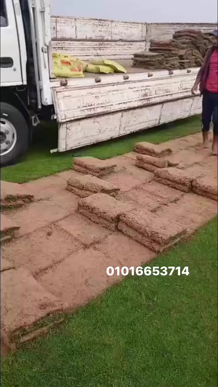 #صلوا__عليه__وسلموا__تسليما #صلوا_على_النبيツ #هشتااااااااااااااااج #حديقة #لاندسكيب #مريناالعبور #الاسماعيلية #مراسي


**إذا كنت صاحب هذا الإعلان وتريد حذفه لأي سبب، رجاءا أرسل رسالة إلى الدعم الفني**