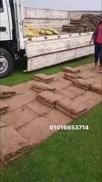 حديقة • لاندسكيب • الاسماعيلية