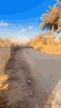 أرض زراعية • ١٠٠٠م • حلة الإمام علي