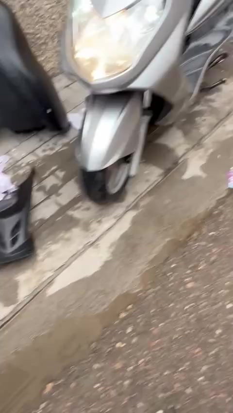 السلام عليكم سكنس فحل ياباني نوزل خطين ستان حساس شلعه معدل نكره سلف بنزين كله محسن دهن كله امزويل الدراجه مال جناي (الدراجه مكفوله من التاير للتاير ) السعر مليون 350 للاستفسار اكثر ***********
