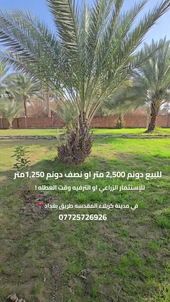 🔶 اعلان رقم 2515
موقع مثالي سكني او ترفيهي في مدينة كربلاء 📍 
المساحه دونم 2,500 مترمربع #للبيع
مسيجه سياج BRC من كل الجهات
تباع دونم او نصف دونم 1,250متر حسب رغبة المشتري! 
كل الخدمات ماء وكهرباء ومدارس واسواق 
نوع العقار طابو سند ٢٥ حق التصرف 
- موقع المكتب 📍 
طريق السيده زينب ع قرب عمود 131
- او الاتصال على الرقم التالي 📞 
ابو علي ***********
           ***********
