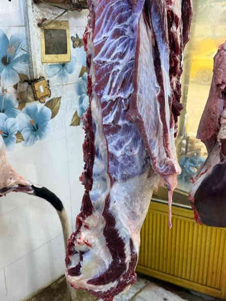 ياالله اللهم صلي على محمد وآل محمد ذبح اليوم الثلاثاء المصادف 16بشهر عجل عراقي دراجه اوله الله شاهد كليو لحم ب 12الف والجمله ب11الف محل ابو علي الكصاب أتريد لحم اهواي بخدمتك تجي للمحصار تاخذ العجل اليعجبك ونذبحه الك واحنه بخدمتكم والله يرزق الجميع انشاء الله نتشرف بل جميعع

***********
