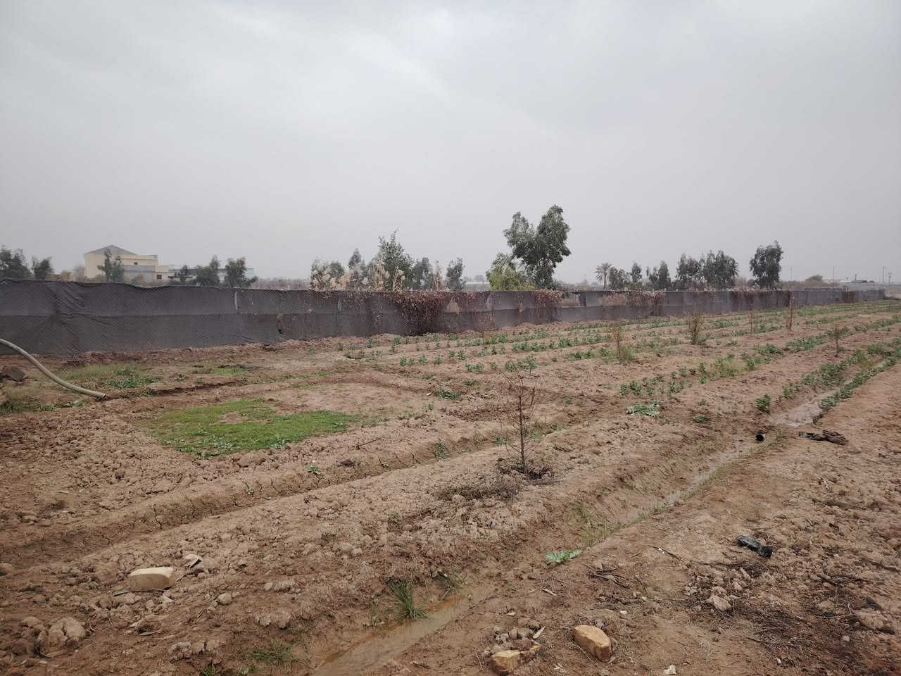 سلام عليكم
أرض زراعيه للبيع
الموقع صلاح الدين قضاء بلد بين مدخل 2 ومدخل 3
تفاصيل الأرض
جنس طابو زراعي سند ٢٥
المساحه ٤٠٠٠ متر
الواجهه ٣٣ متر
النزال ١٢٠ متر
مزروعه حمضيات
خدمات كهرباء ماء بئر
للاستفسار الاتصال على الأرقام التاليه
***********
***********
او مراجعة مكتب التمار للعقار الواقع شارع المحطه محلات الحاج عدنان
