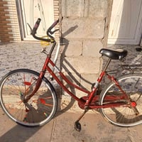 باسكل • احمر • حجم ٢٦
