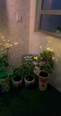 شلال ماء • الجشعمي • الغزالية