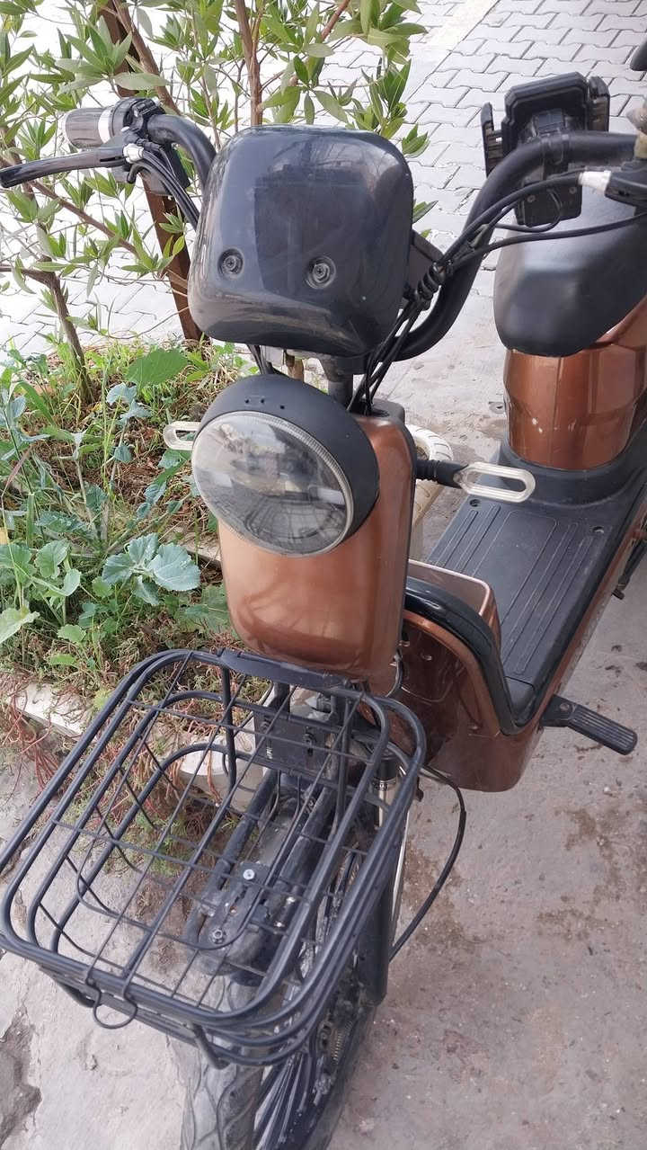 دراجة شحن للبيع 
استخدام نظيف بلادية بطاريات عالفحص بصمه عدد٢ نوع الريان السعر ٣٥٠ ألف  المكان نجف كوفه   ***********
