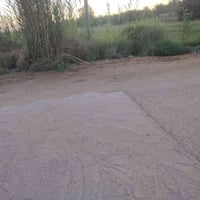 ارض زراعيه • سند ٢٥ • ١ دونم