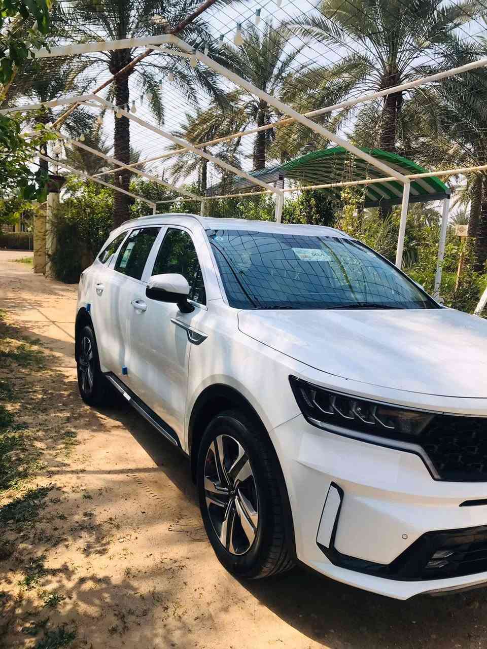 سورنتو 2023 ضمان الشركه الدوليه 
رقم بغداد أنكليزي بأسمي تحويل ثاني يوم 
مكفوله كفاله عامه حتى الدعاميات من الشخوط والرصعات 
فول مواصفات عدا البانوراما
ماشيه 16 حقيقي محرك وكير وضع الشركه 
تبريد حداديه تخم تاير كلها كفاله السياره زيرو 
السياره كارتون 
مكان بابل السعر 292 $
للأستفسار أتصال( *********** )
