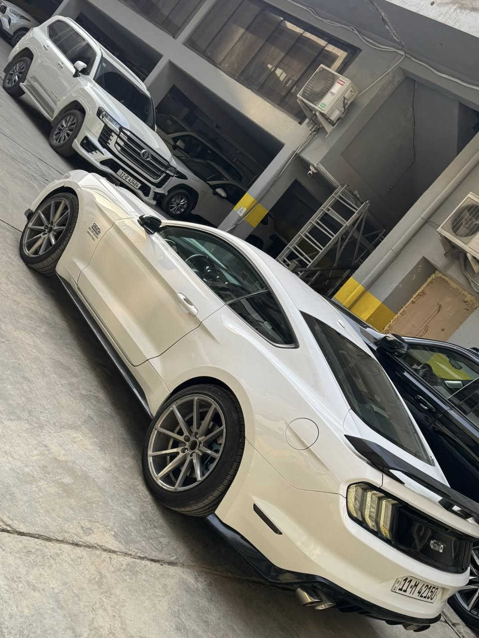 السلام عليكم موستنك 2016 GT 5.0 برميوم السيارة رقم بغداد بأسمي ماشية 72mi  السيارة نضيفة ومناقصهة شي المكينة كلش نضيفة ومعتني بيهة 
عليهة اضافات.
هدرز لونك تيوب spاصلي امريكي كامل وية الحجر الخاص 
اكس بايب ودبل تب بورلا كلة قفايص اصلي
دبات بورلا اصلي borla atak full exhaust
داون بايب 
شوتة air aid اصلي 
دركة كاربون ڤايبر 
عدسات الوان متغير 
دعامية شيلبي 
هزة جديدة مسويلهة يعني متسويلهة هزة كبل تحويل
السيارة بيهة ارباك بردة ومال رجل فقط 
حادثهة جاملغ خلفي بدون كص وبدون دواخل 
وبيهة جاملغ السايق وباب السايق بس مفتوح وراجعين مطبكي بدون قطرة صبغ ولا معجون لان مطخوخة من براكيت الدعامية طخة بسطية السعر 180 ورقة 
رقم التواصل ***********
