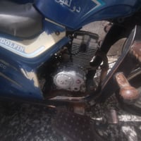 ستوته دولفين • مراوس • دبل تاير