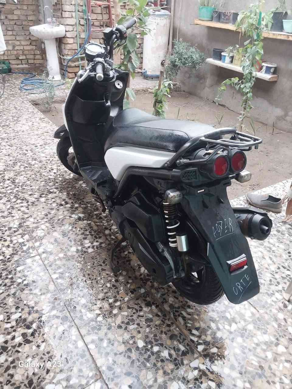 سلام عليكم سكنس جبلي البيع صار شهر من نازله رمباه  درجه حلوه  سعر 100 و200 مكاني بغداد مدينه صدر حي طارق ***********
