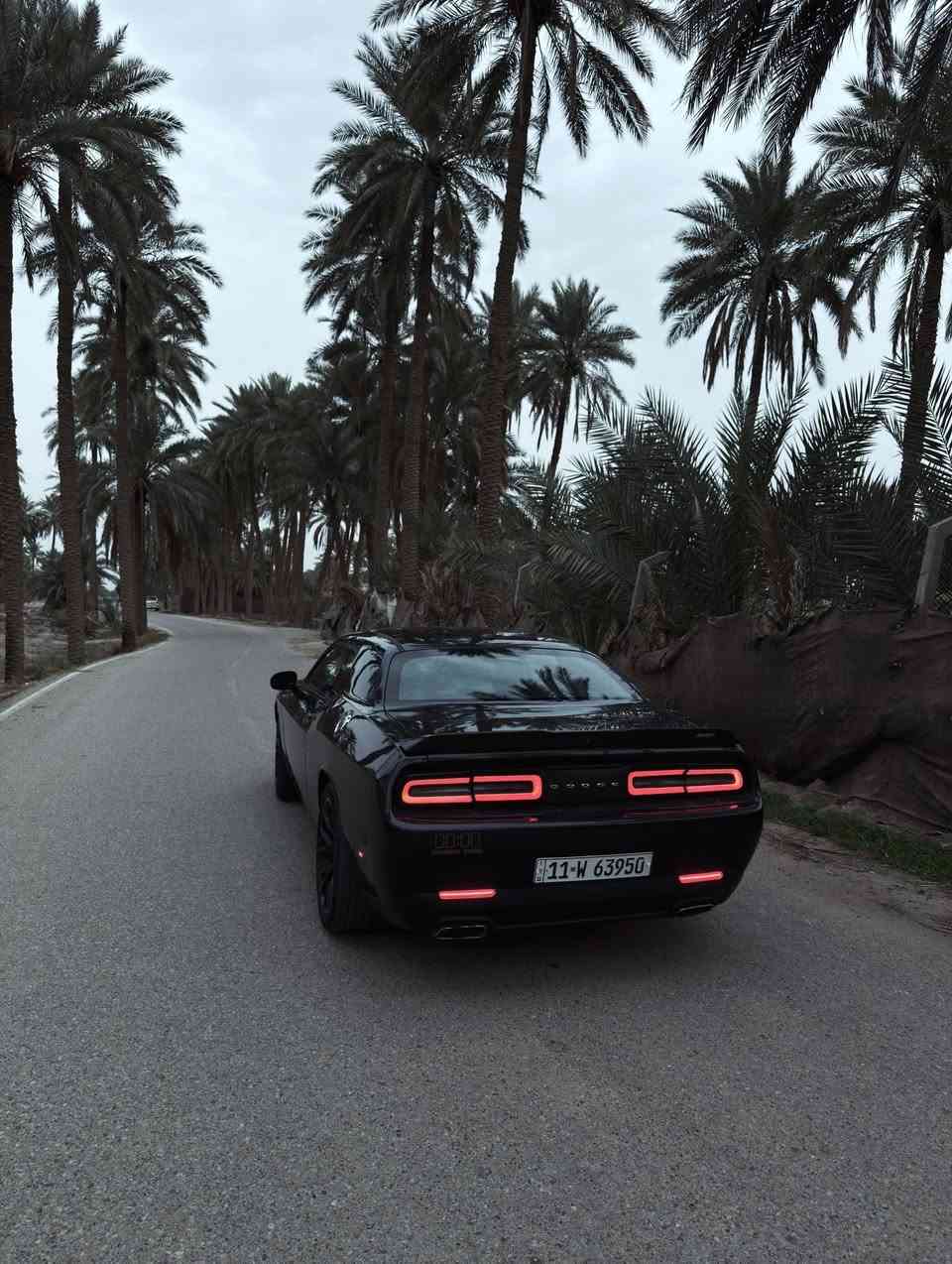 السلام عليكم شباب 
 دوج چالنجر للبيع فقط
 2019 الممشى 72962 mile
 اللون مكزم ستيل(كحلي) 
الضرر جاملغ الايمن + بنيد
مكان السيارة الحلة - بابل
السعر المطلوب 160 وبيها مجال قليل 
رقم الهاتف ***********
