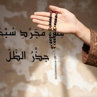 جذر الظل • سبحة ١٠٠ حجر • إصدار محدود