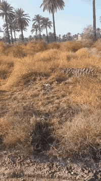 بستان الكبيسي • 100م • صرف زراعي