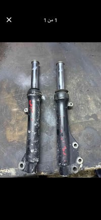 ماكس بلادي • دبلات • معقل