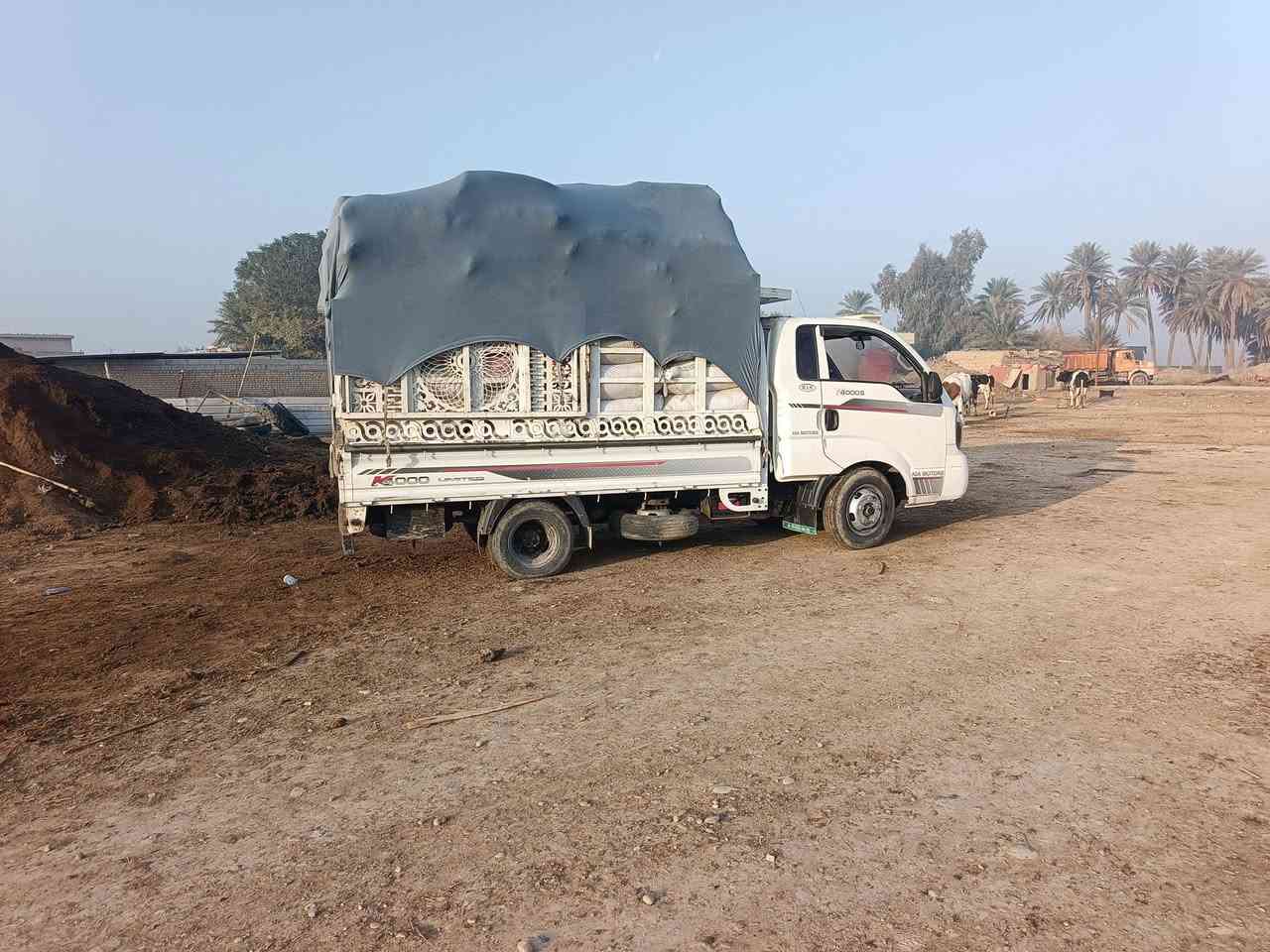 متوفر دمن غنم وهوش للبيع كواني وكياس توصيل ديالى وبغداد والشراي يتصل علرقم ***********
