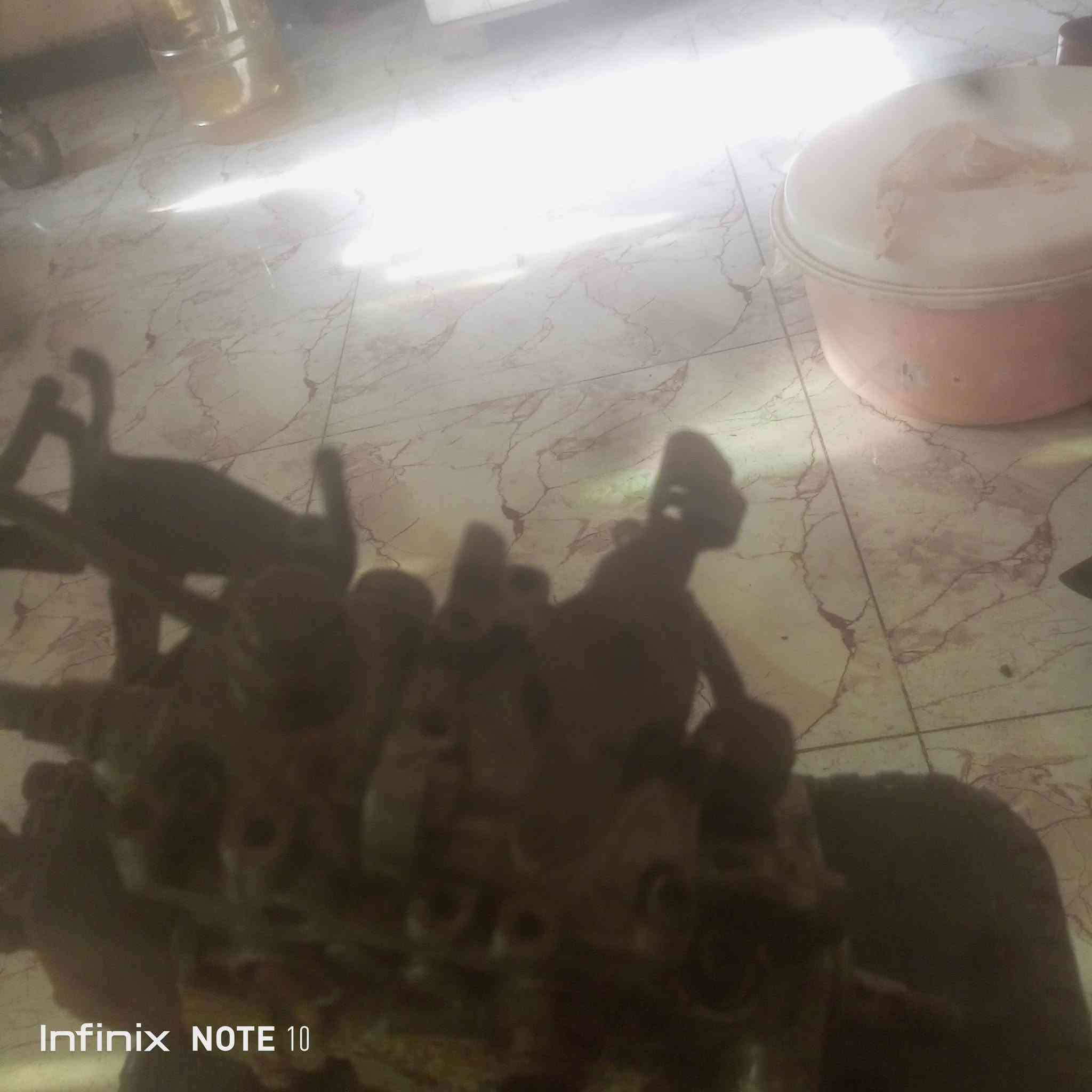 للبيع بم كيه بستا السعر 75 وبي مجال العنوان ديالى بهرز


**إذا كنت صاحب هذا الإعلان وتريد حذفه لأي سبب، رجاءا أرسل رسالة إلى الدعم الفني**