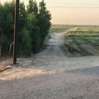 ٣ دونم • واسط العزيزيه الدير • طابو زراعي