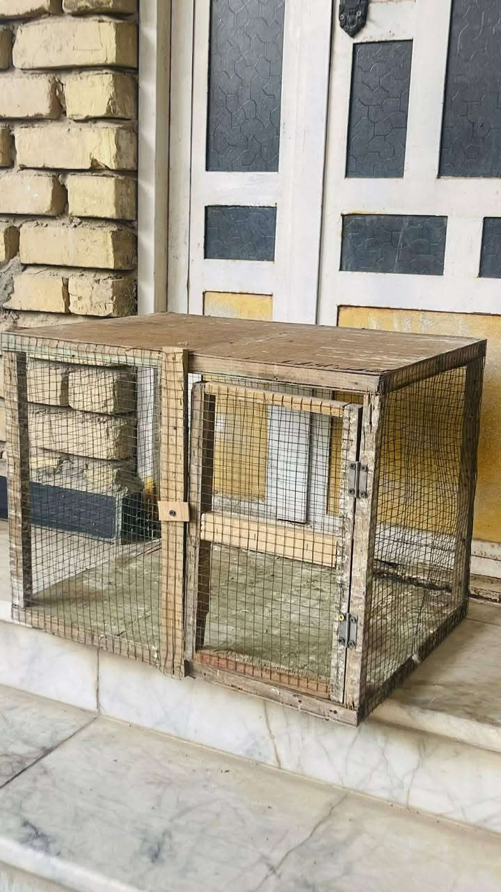 خانه نضيفه للبيع مكاني رفاعي الي يريده يراسلني


**إذا كنت صاحب هذا الإعلان وتريد حذفه لأي سبب، رجاءا أرسل رسالة إلى الدعم الفني**