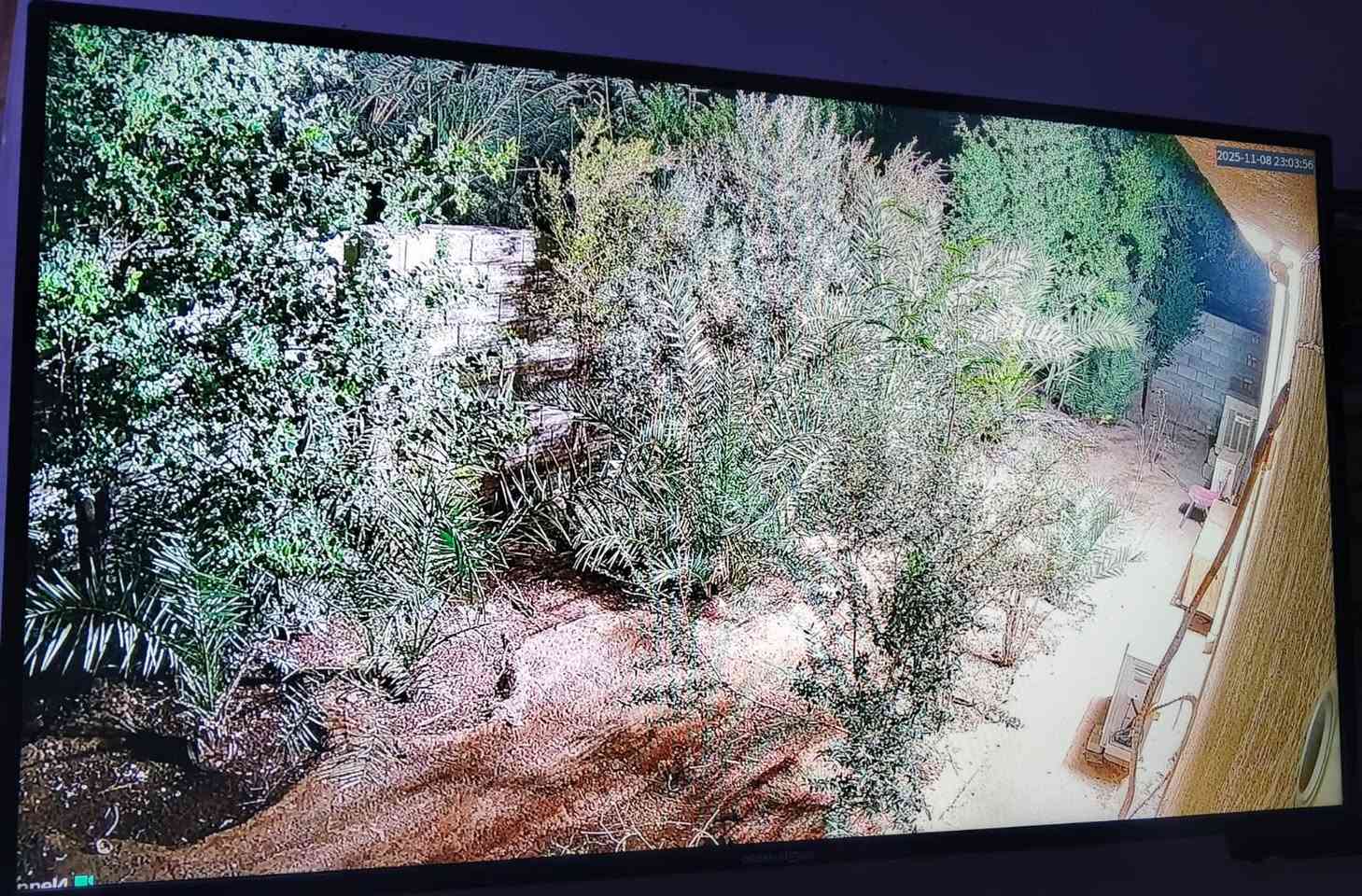 مستعدون لتجهيز وتنصيب الكاميرات 📸
لكافة المواقع🌍
( منازل _ محلات _ شركات - مجمعات سكنية)
تجهيز وتنصيب وصيانة وبرمجة كافة انواع كاميرات المراقبة 📸
تنصيب كامرات عالية الجودة بدقة احترافية🔥
  🔴كادر متخصص بكاميرات المراقبة وصيانتها  والبرمجة
 متواجدون في جميع مناطق الكوت

  ويتوفر لدينا جميع أدوات التنصيب الحديثة 🧰
للاستفسار يرجى  الاتصال  على الارقام التالية : 
📞☎️
***********
